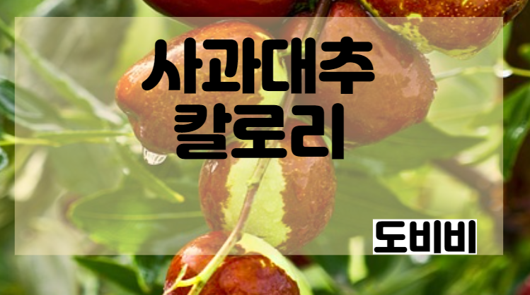  사과대추 효능 사과대추 칼로리 사과대추 부작용