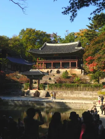 5월 창덕궁 응봉산 수도권 꽃구경 10선_20