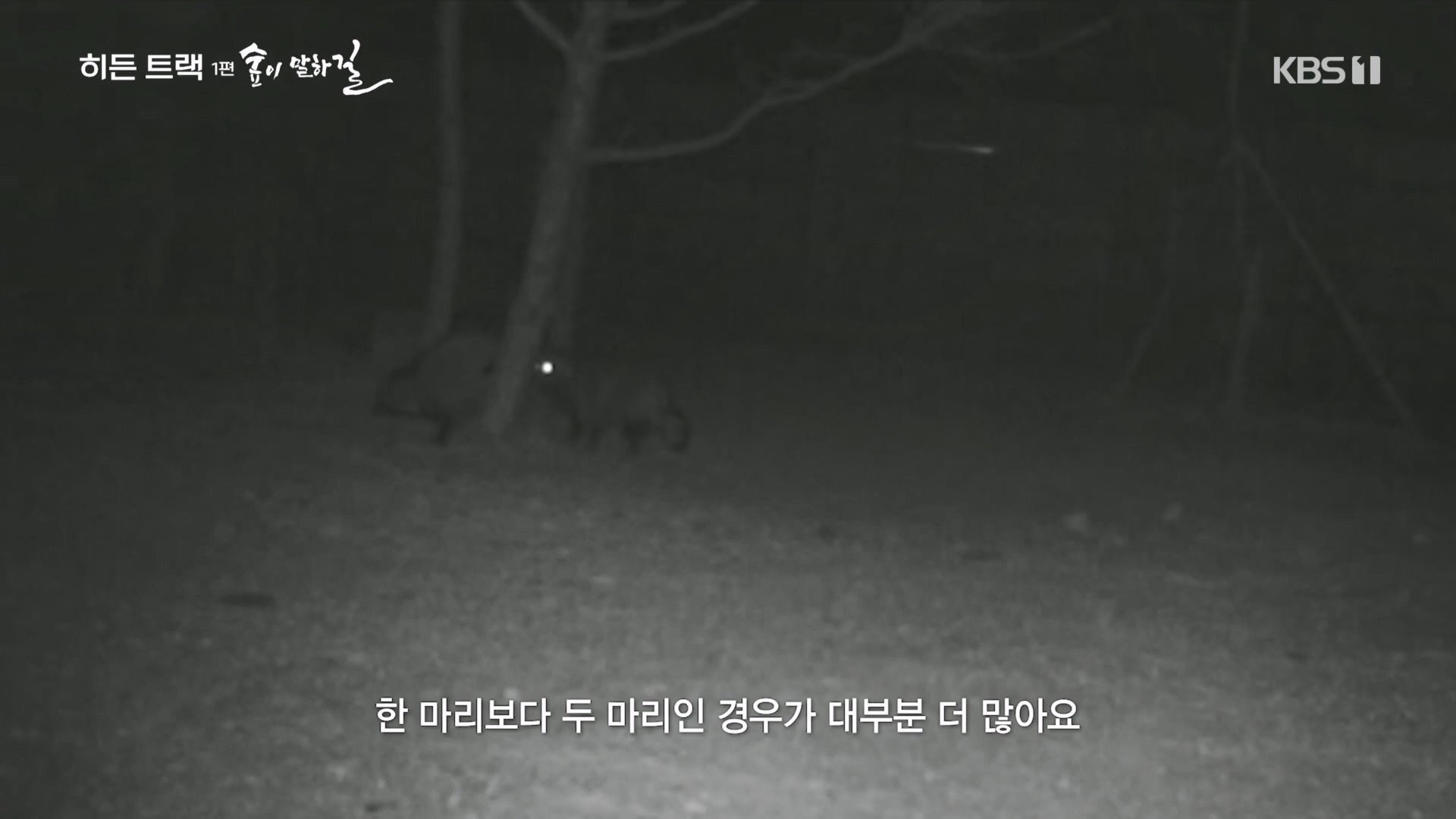 다큐 인사이트.E176.231214p.H264-F1RST.mp4_20231215_205450.940.jpg