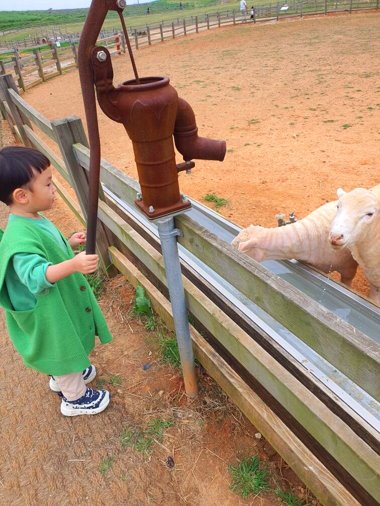 고창 상하농원