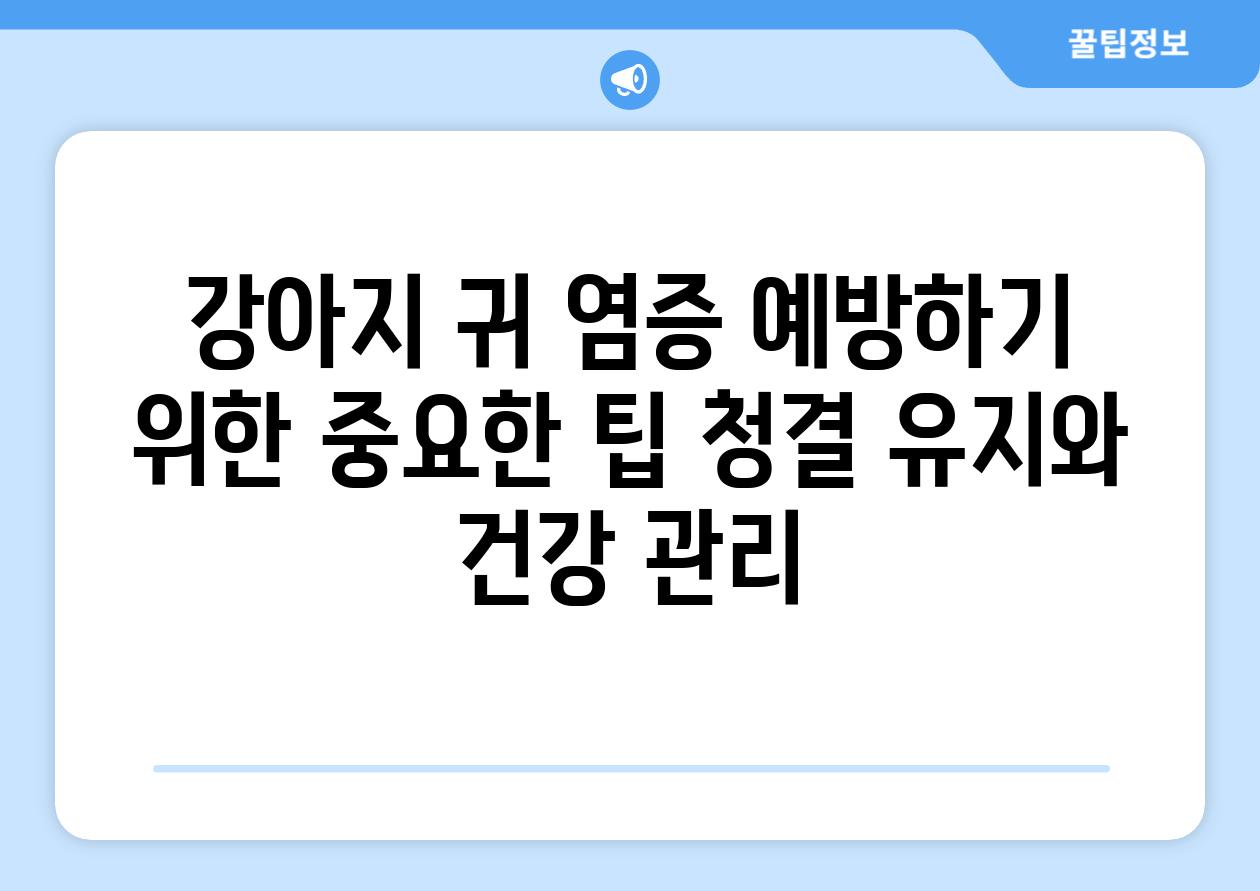 강아지 귀 염증 예방하기 위한 중요한 팁 청결 유지와 건강 관리