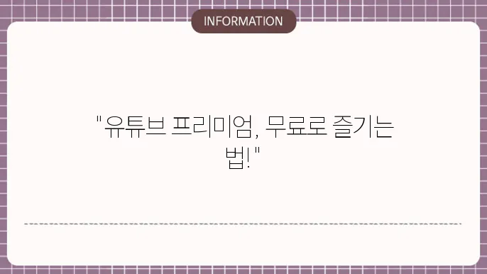유튜브 프리미엄 우회 페루 대쑕 c29법