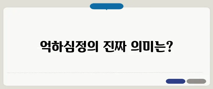 억하심정 뜻 알고 쓰자, 오해하기 쉬운 표현