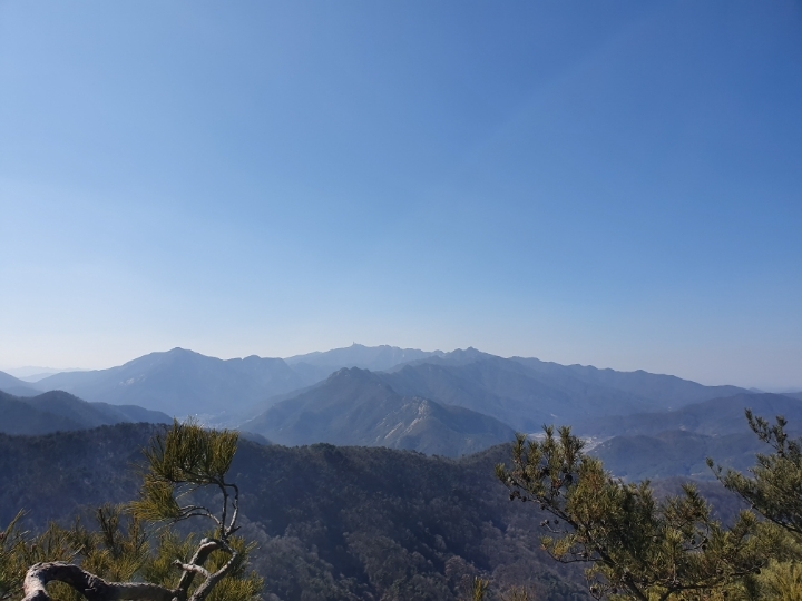  대전 우산봉에서,,,,,