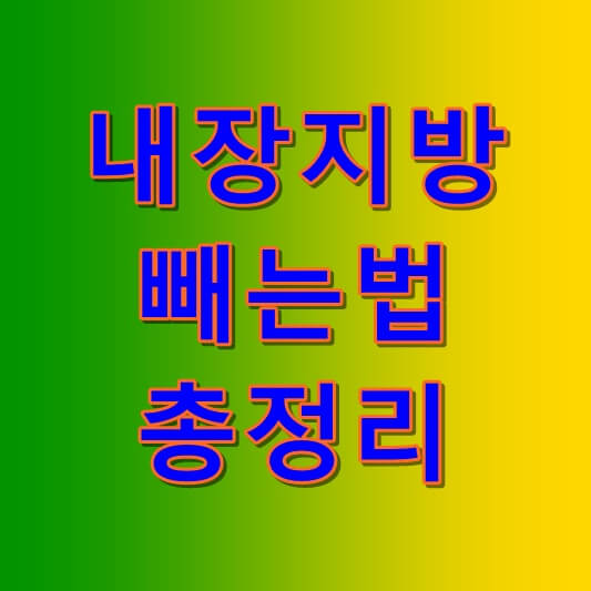  내장지방 빼는 법 운동도 알아보자