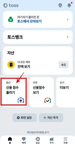토스 - 신용 점수 - 레이즈