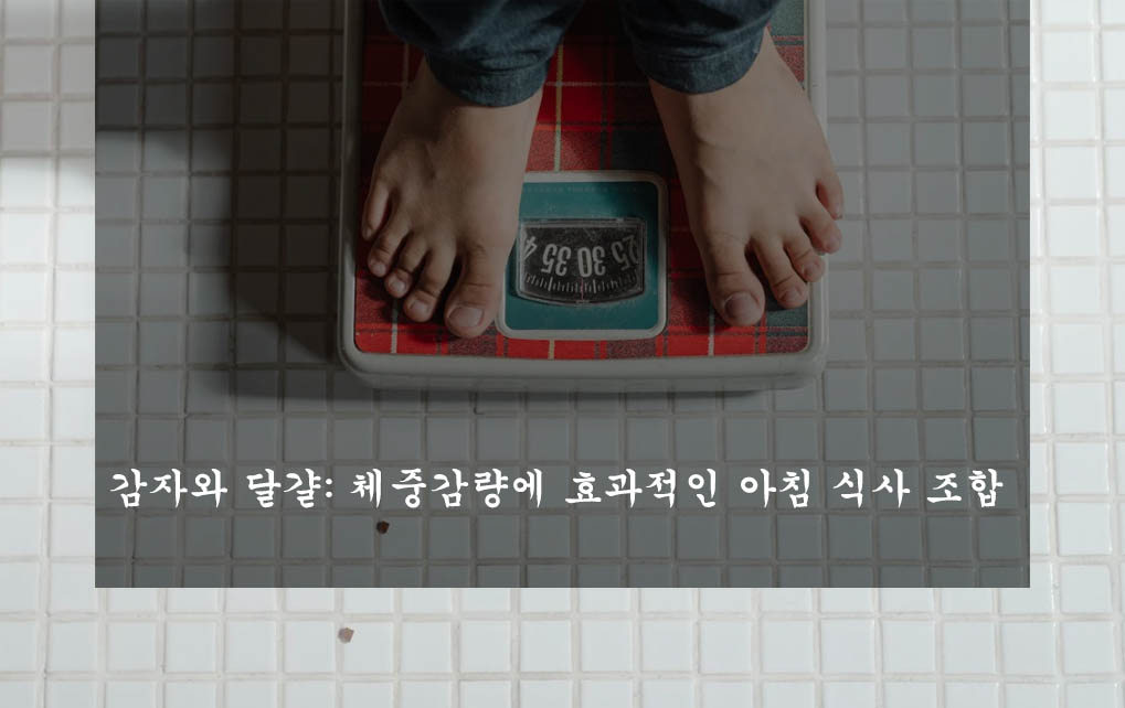  감자와 달걀: 체중감량에 효과적인 아침 식사 조합