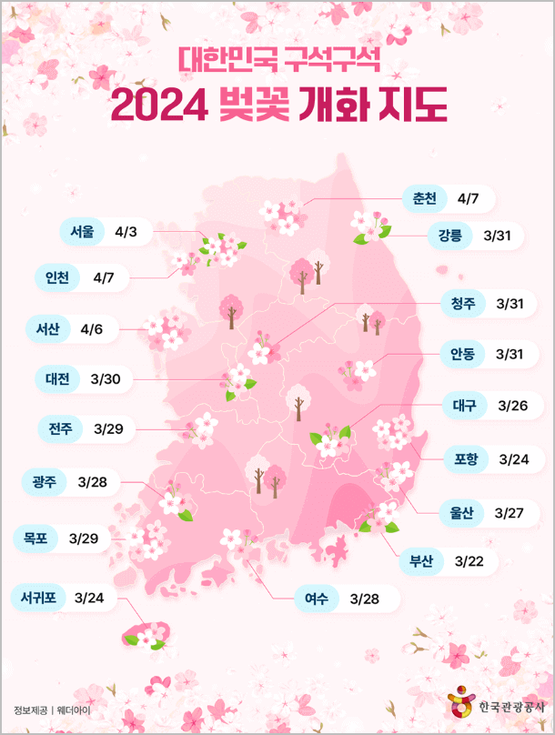 2024 벚꽃개화지도