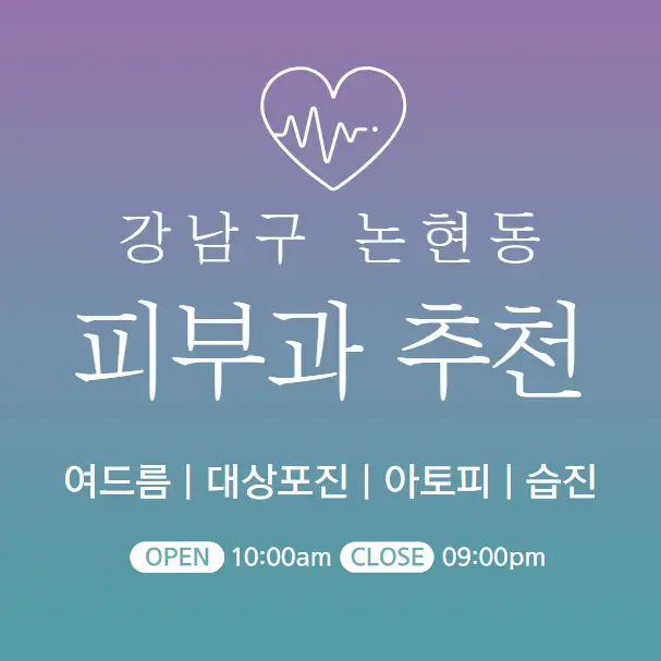 강남구-논현동-피부과-병원-의원-추천