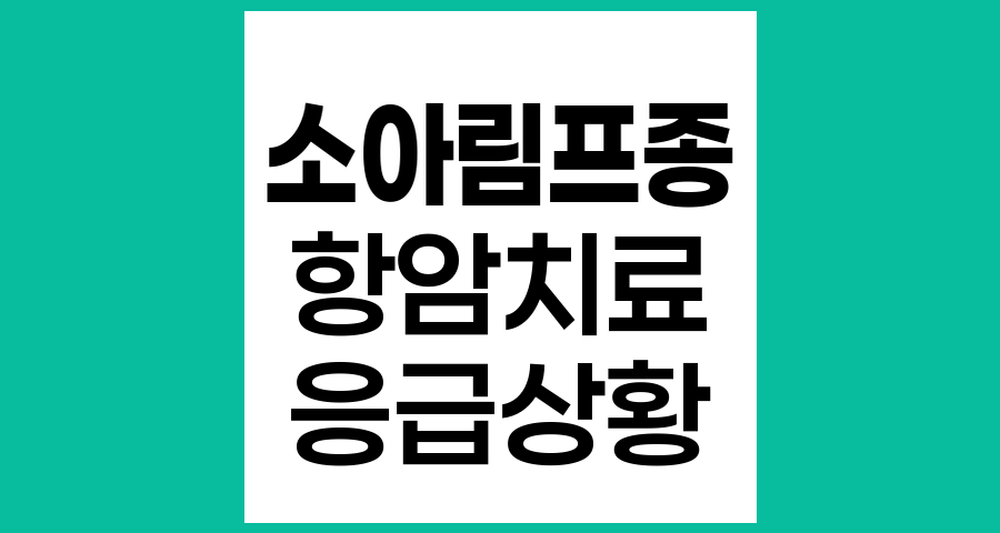 소아림프종 환아의 항암치료 중 응급상황과 의료진 문의 기준