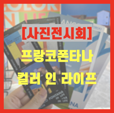 프랑코폰타나_컬러인라이프