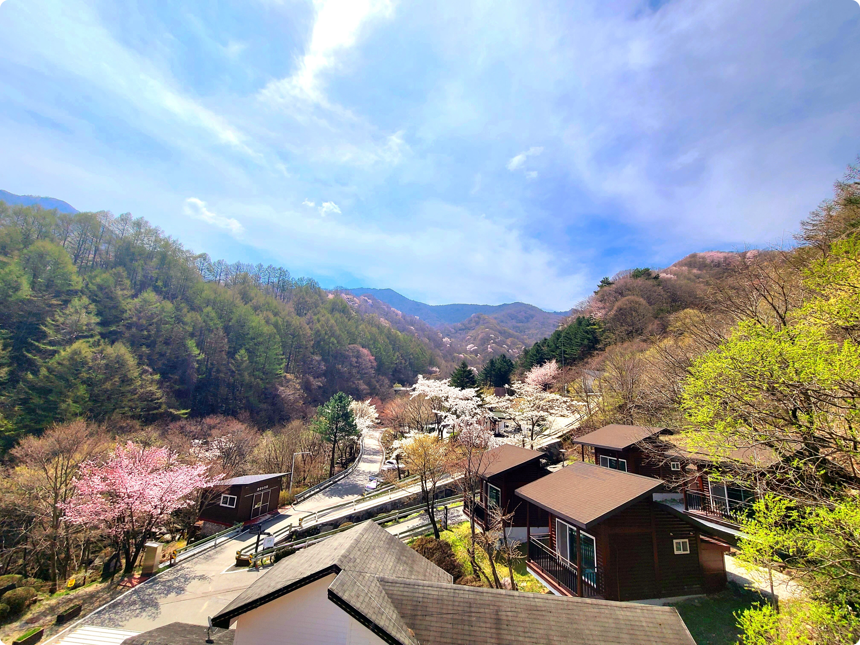 <지리산자연휴양림 (함양)>