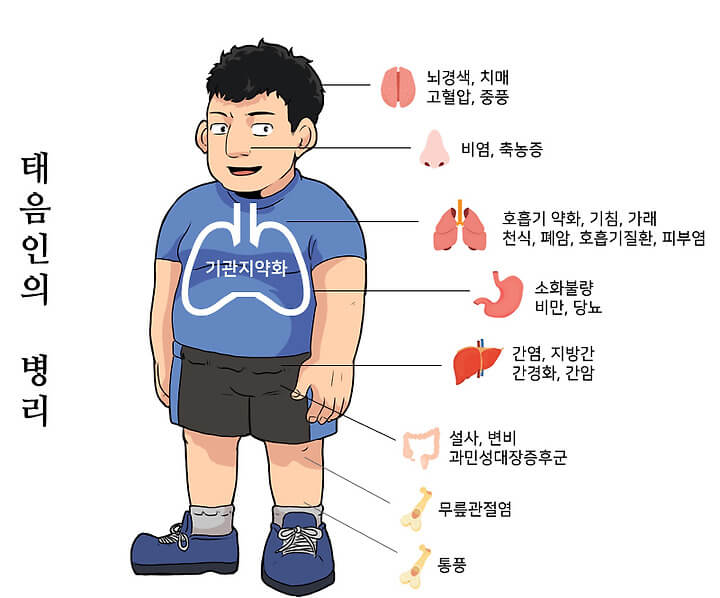 태음인 특징 및 건강관리 방법