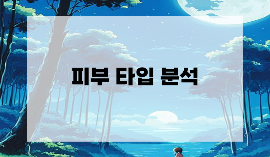 2. 피부 타입 분석
