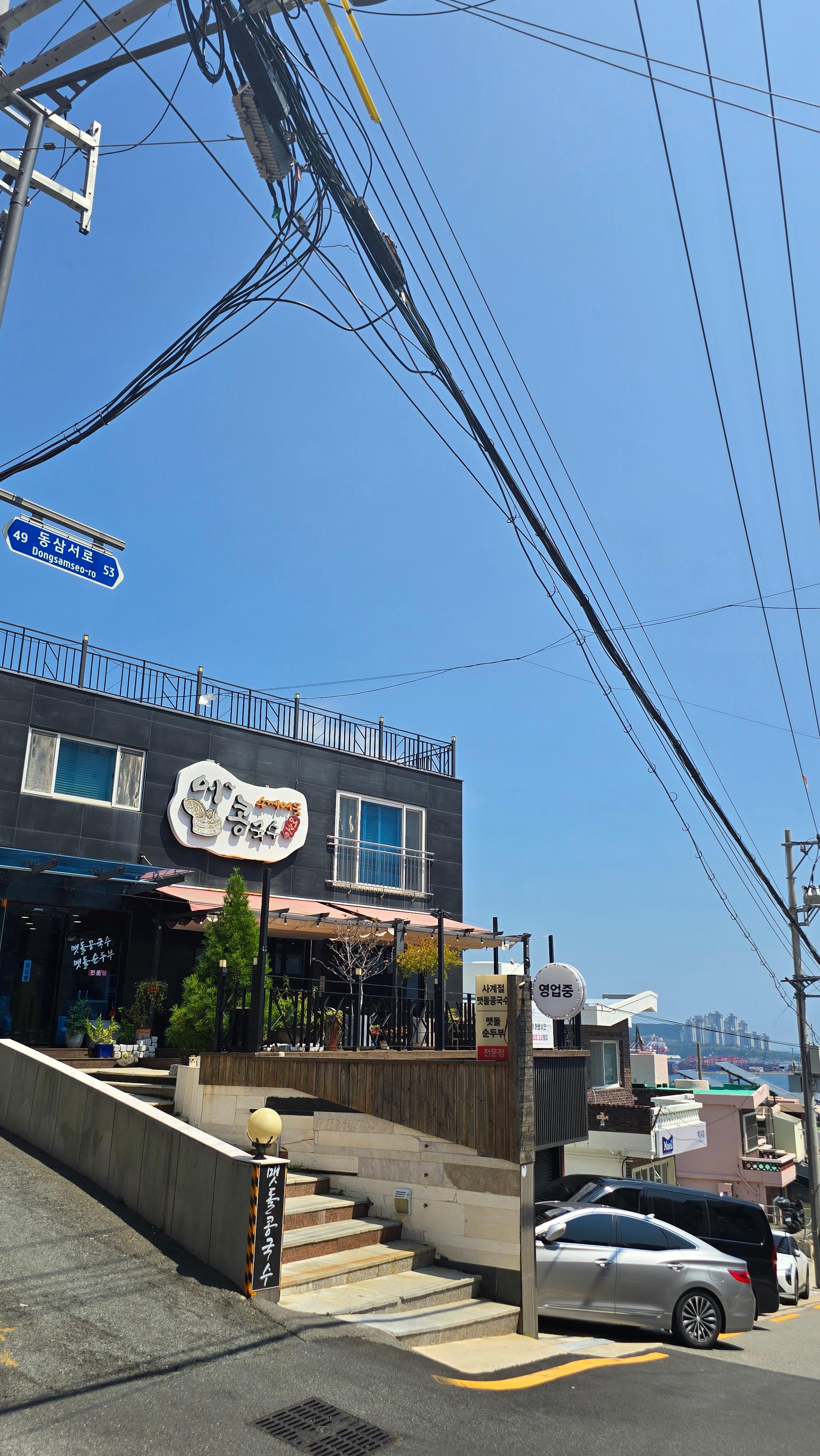 어콩 사진 6