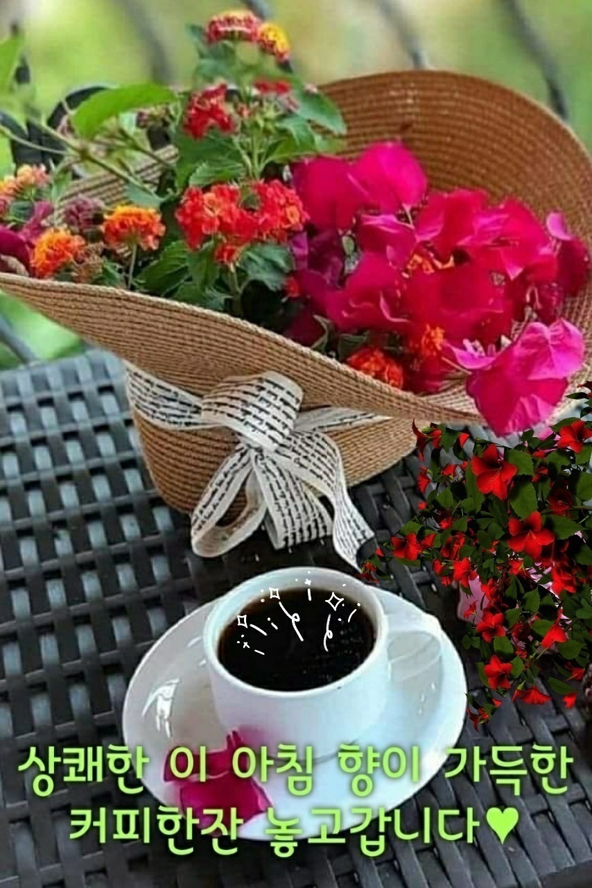 봄꽃 목련과 벚꽃이 한창입니다 / 꽃길만 걸으면 (03/23/22) 50