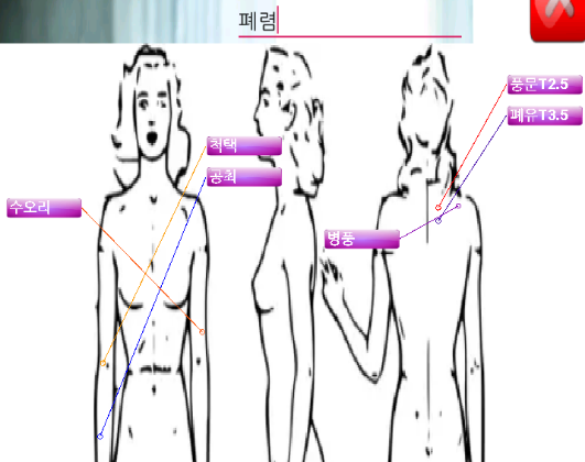 혈자리 위치 그림