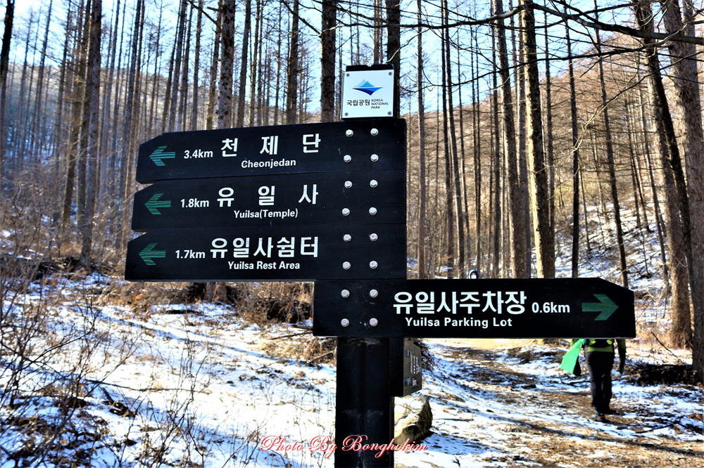  2022년 두번째 백두대간 태백산 산행