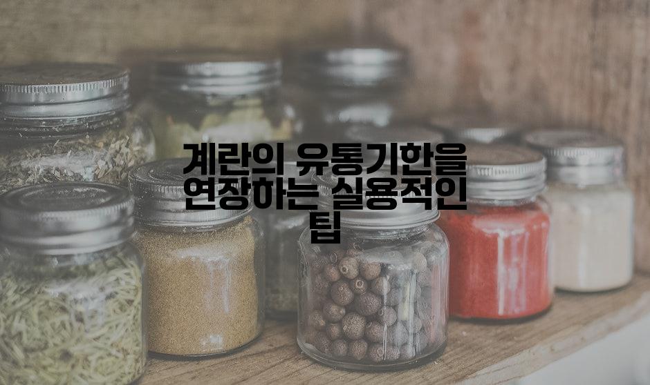 계란의 유통기한을 연장하는 실용적인 팁