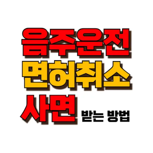 음주운전 면허취소 사면 썸네일