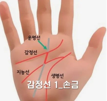 메인 1 이미지