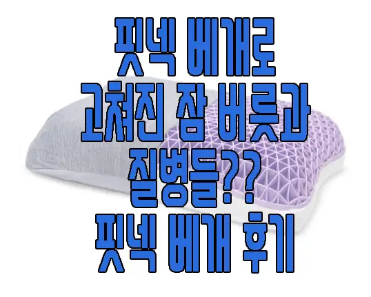 핏넥 베개 후기에 관한 글 썸네일