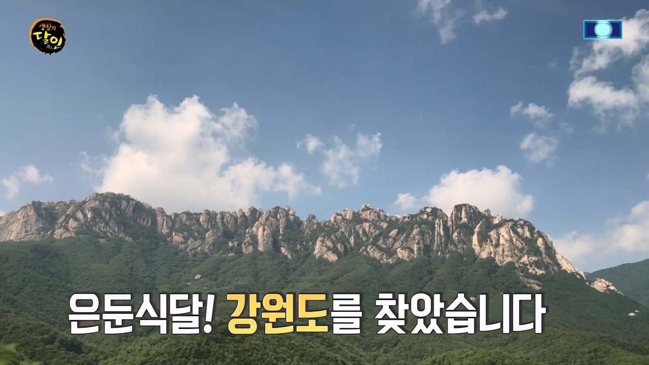 생활의 달인.E899.230732p-NEXT.mp4_20230801_213216.707.jpg