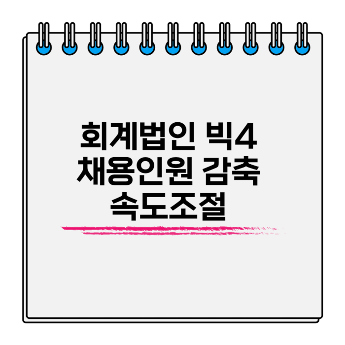 내일회계법인 이미지