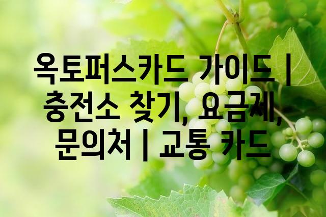 랜덤101