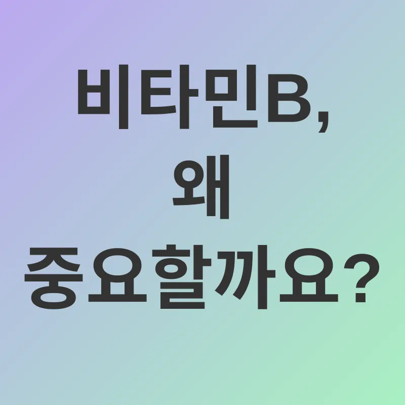 비타민B 섭취_1