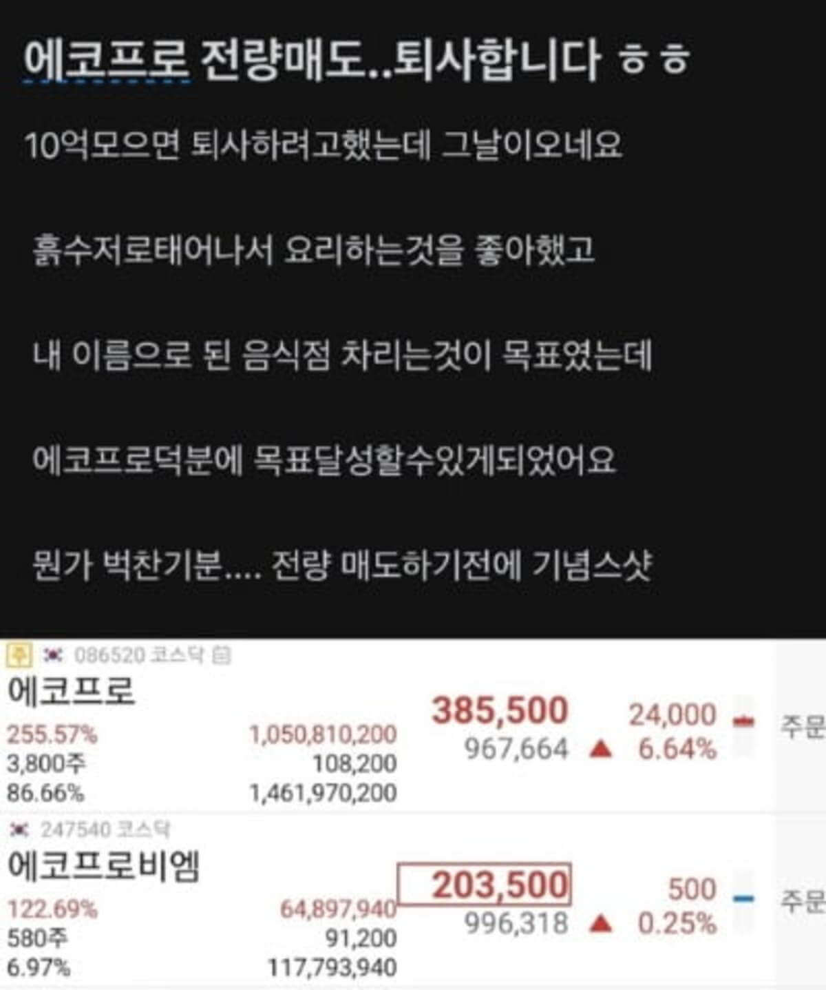 에코프로 10억 수익