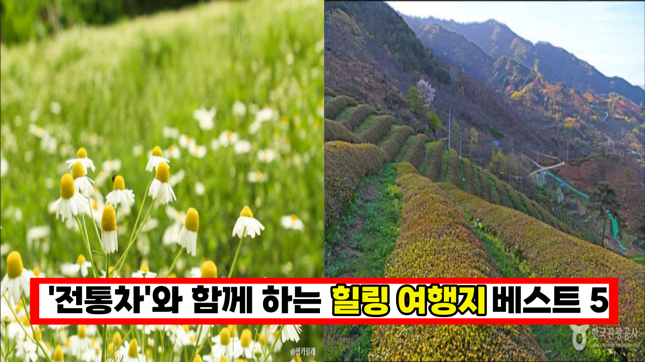  여긴 죽기전에 꼭 가봐합니다.  '차'와 함께 하는 힐링 여행지 베스트 5