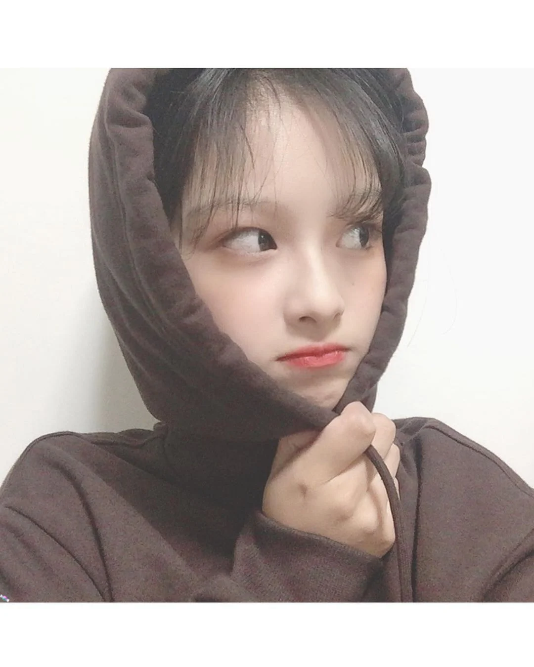  엔믹스 설윤 새로 풀린 과사