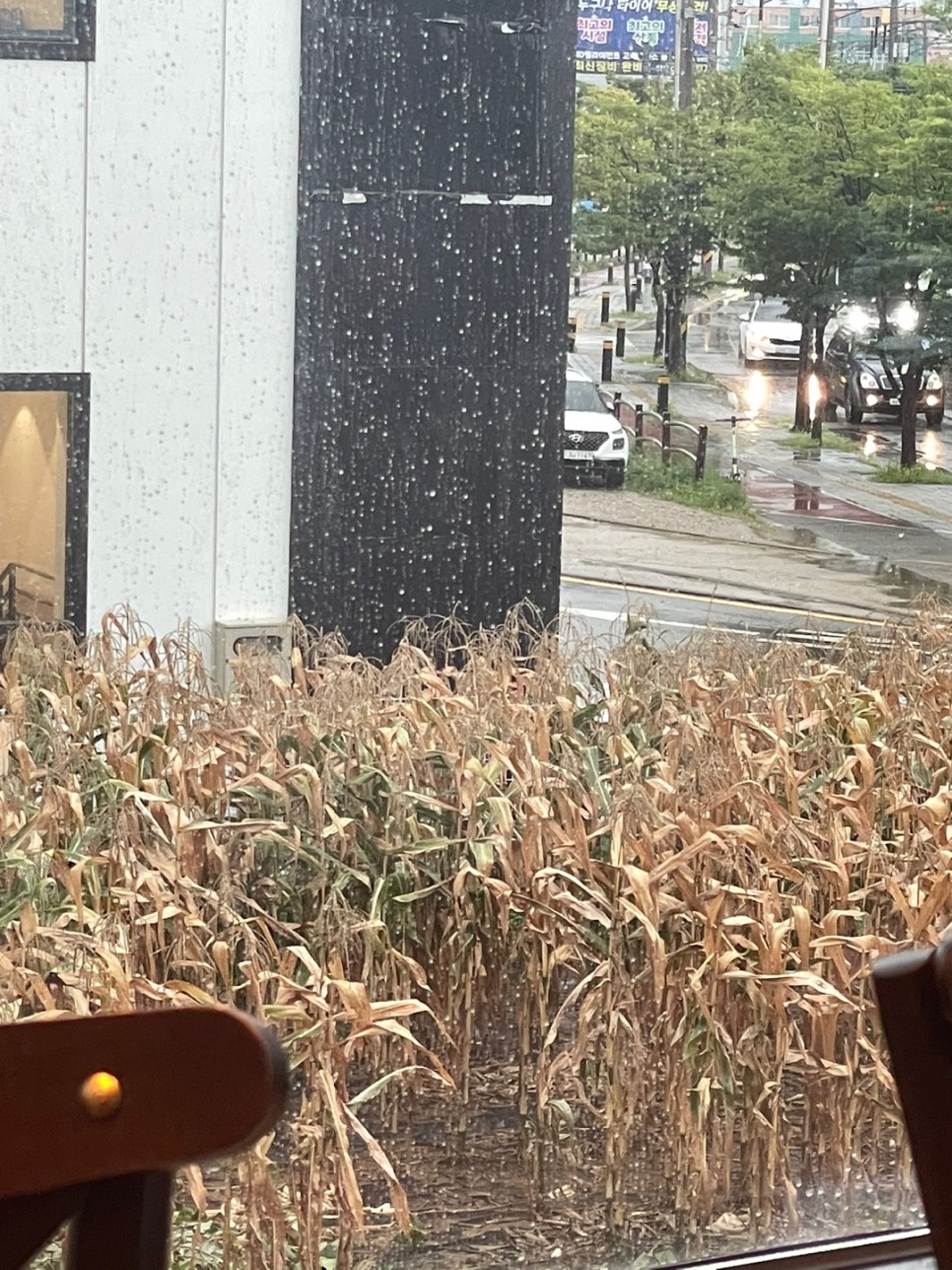 부천 다이어트 한약으로 식욕 억제 18