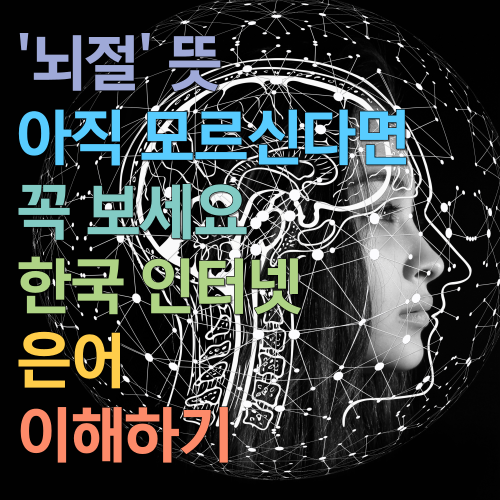  뇌절 뜻 아직 모르신다면 꼭 보세요 한국 인터넷 은어 이해하기