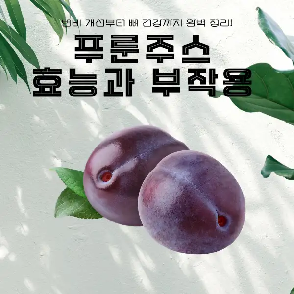 푸룬주스 효능과 부작용
