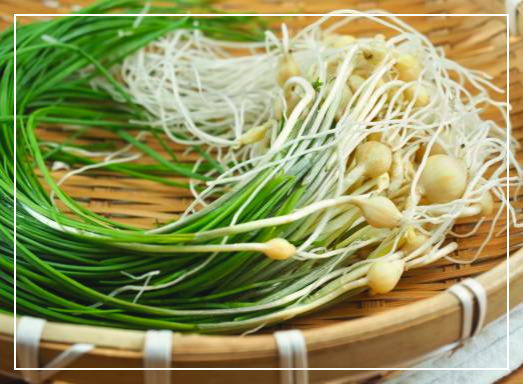 달래 효능 부작용 조리법