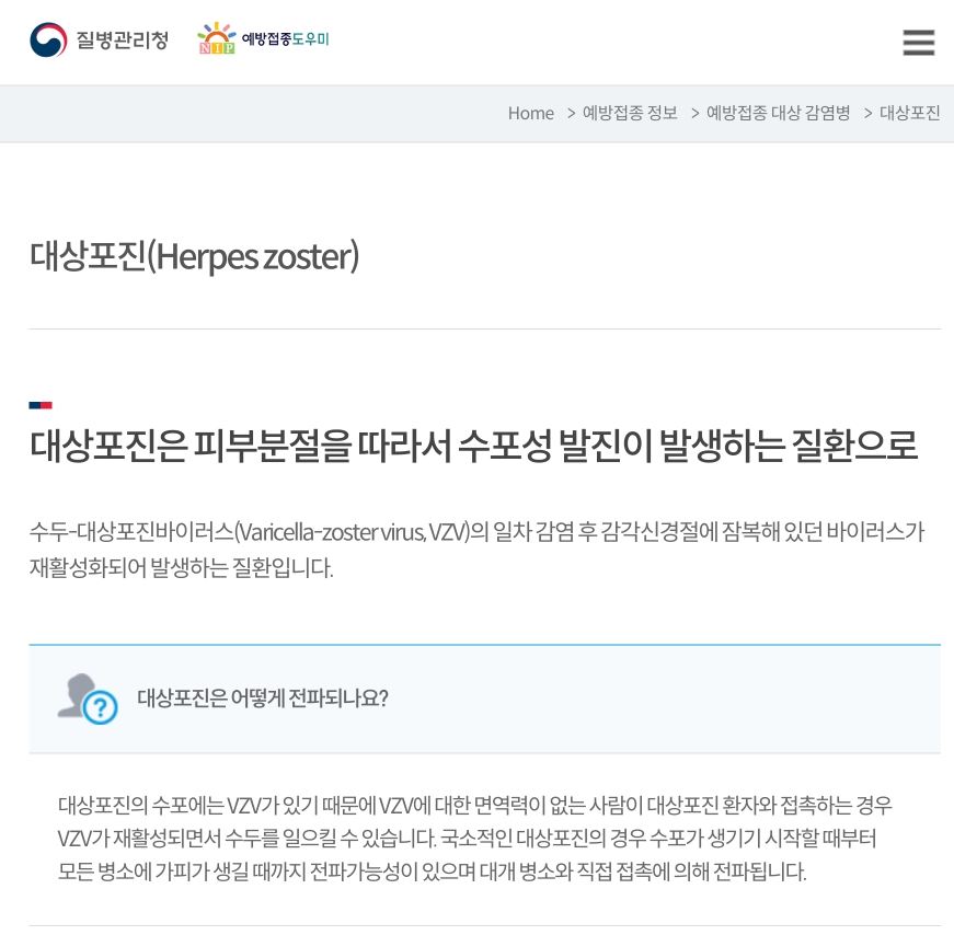 대상포진_질환설명