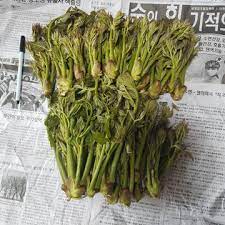 3월 제철 음식 : 두릅무침 과 두릅 전 그리고 두릅의 효능
체중감량에 도움