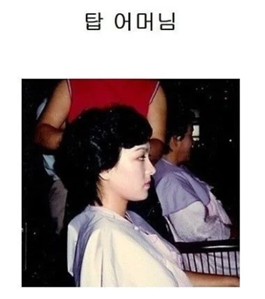  유전자부터 남다른 연예인 부모님 사진.jpg