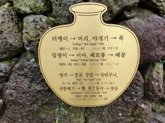 방언과 사투리 차이 의미 유래_27