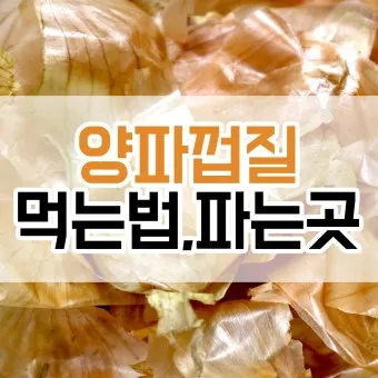 양파껍질 차 효능 영양성분_3