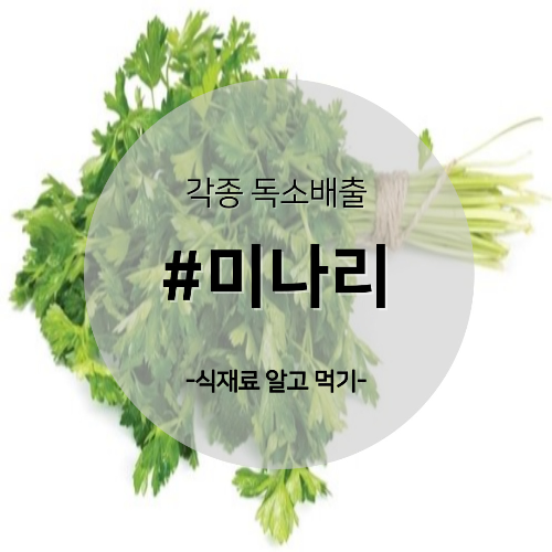  알고 먹기 50. #미나리