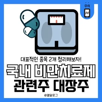 비만치료제 대장주 관련주 TOP5 총정리_25