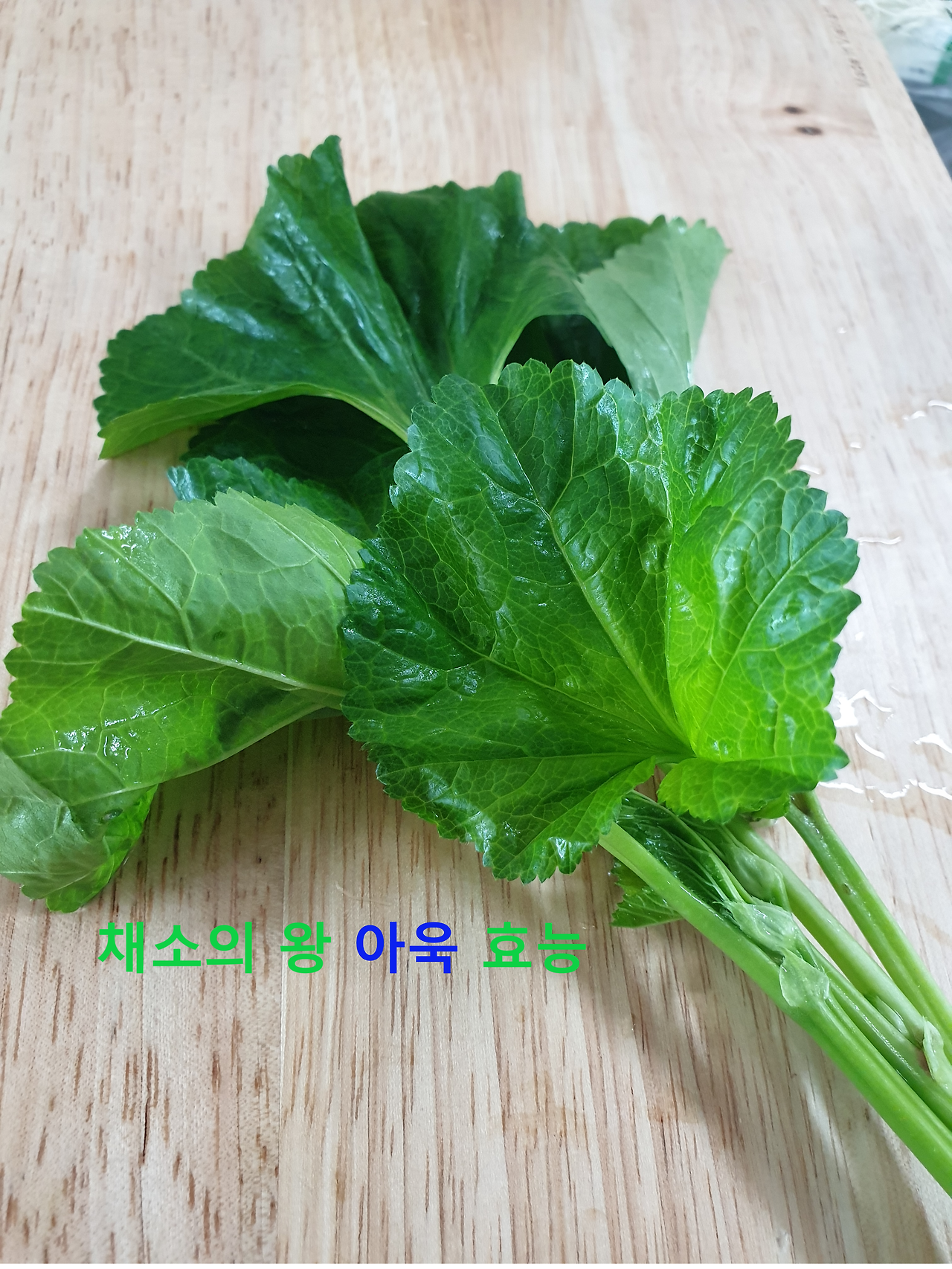 아욱 효능 부작용 영양성분 먹는방법 손질방법 보관방법 파종시기