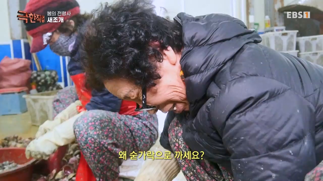 TV - 전 국민의 평생학교 EBS봄의 전령사! 새조개, 미나리, 주꾸미.mp4_20240316_171249.381.jpg