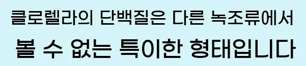  클로렐라의 단백질은 다른 녹조류에서 볼 수 없는 특이한 형태입니다.