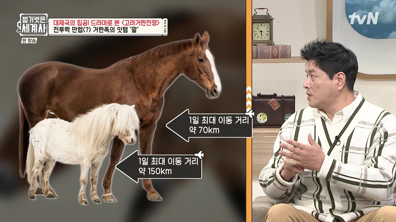 벌거벗은 세계사.E135.240124p-NEXT.mp4_20240717_203553.245.jpg