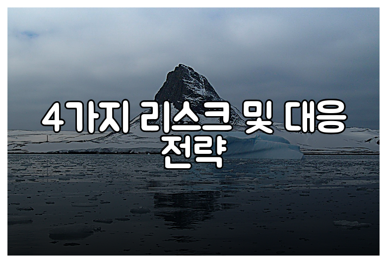 4가지 리스크 및 대응 전략
