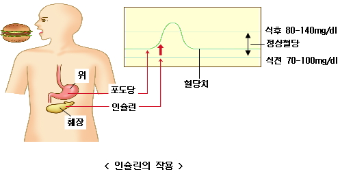 공복혈당 낮추는 방법